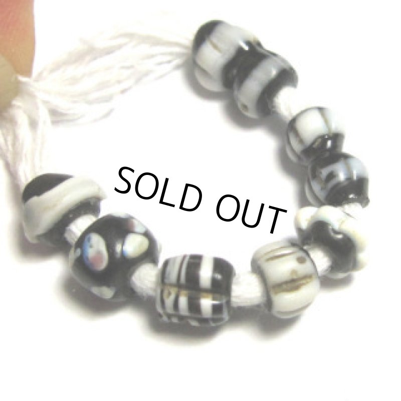 小粒ドッグトゥースMix連