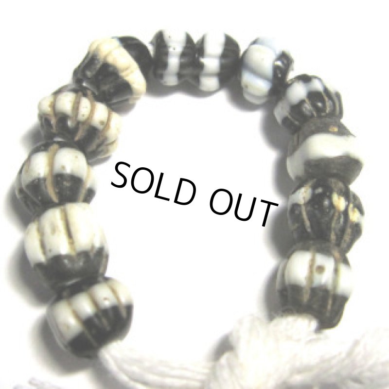 ドッグトゥース小連