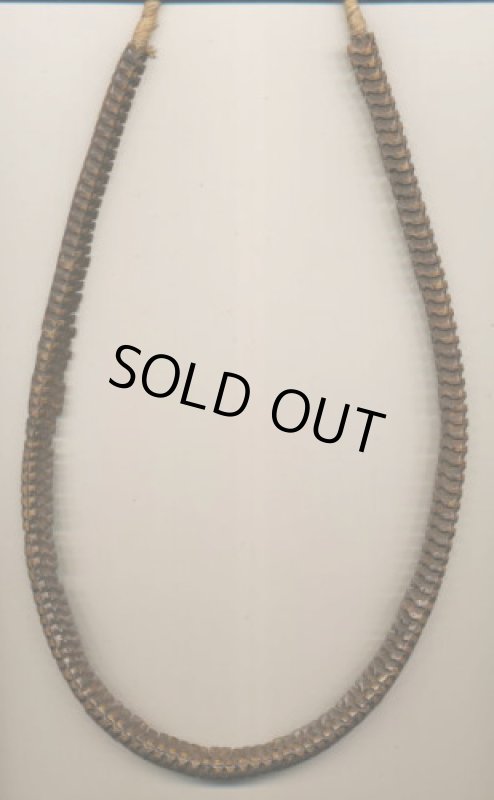 アフリカ製 蛇の脊椎