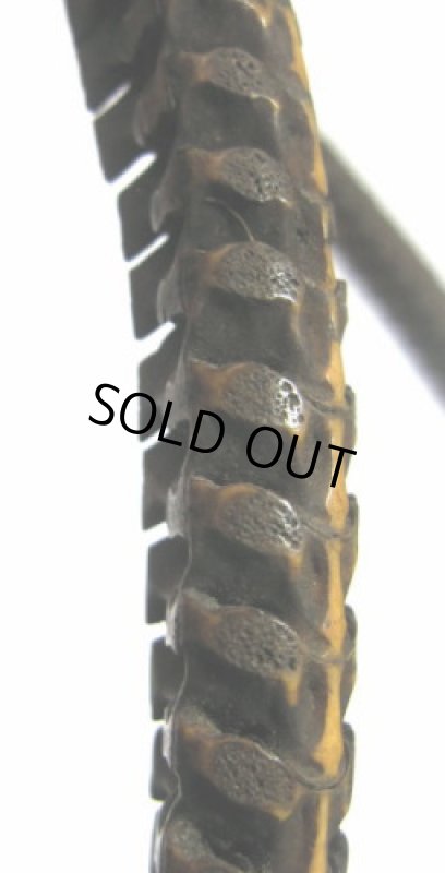 アフリカ製 蛇の脊椎