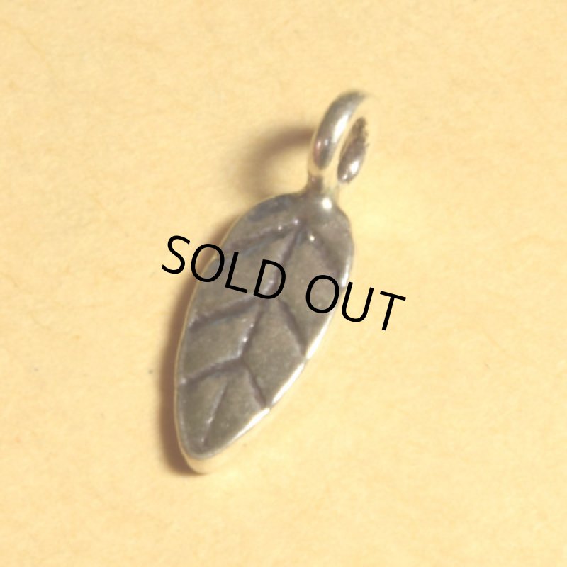 カレンシルバーチャーム