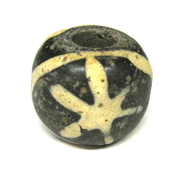 専用ページ 本物保証 ジャワ島産マニックブルン 専用ページ 本物保証 ジャワ島産マニックブルン