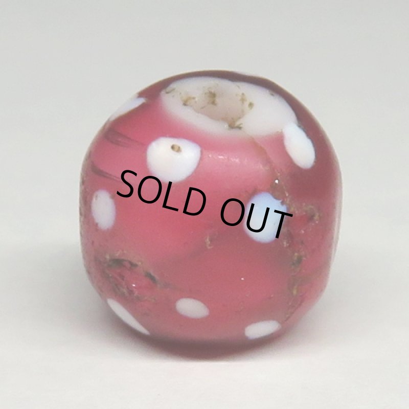 研磨レッドスカンク