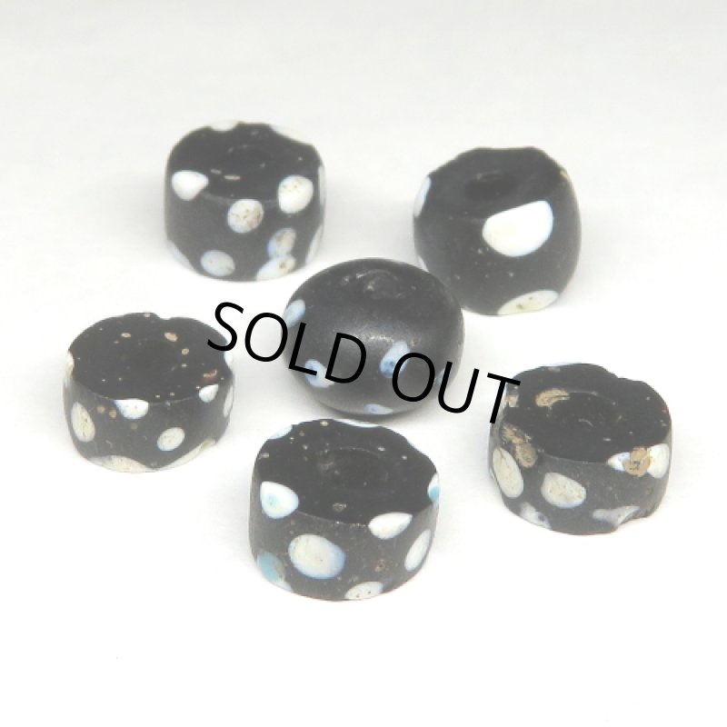 小粒ブラックスカンク　6個セット