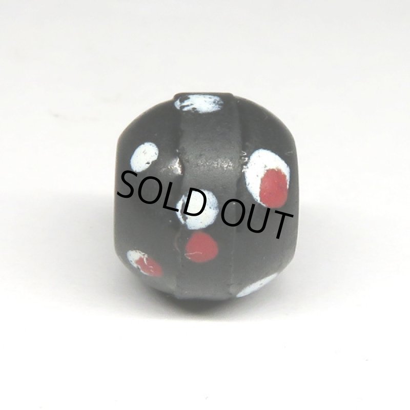 フレンチスカンク黒