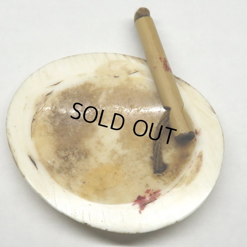 ナガ族伝世 貝の耳飾り