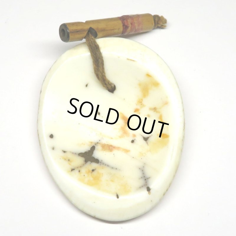 ナガ族伝世 貝の耳飾り