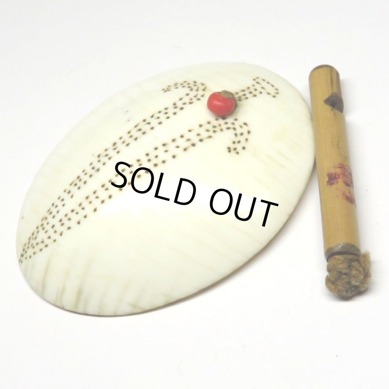 ナガ族伝世　貝の耳飾り