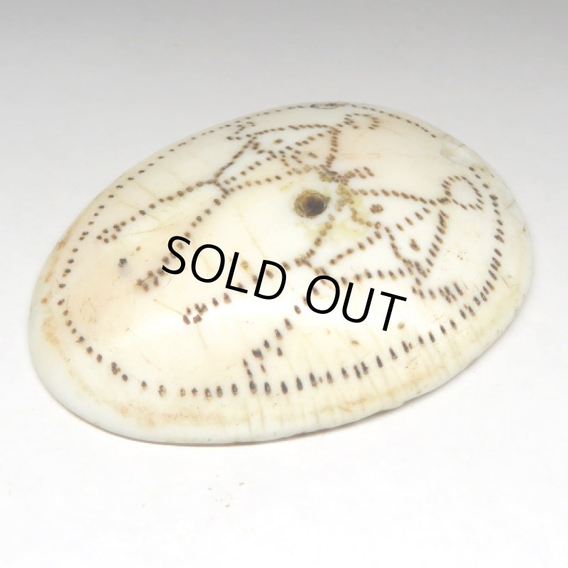 ナガ族伝世 貝の耳飾り