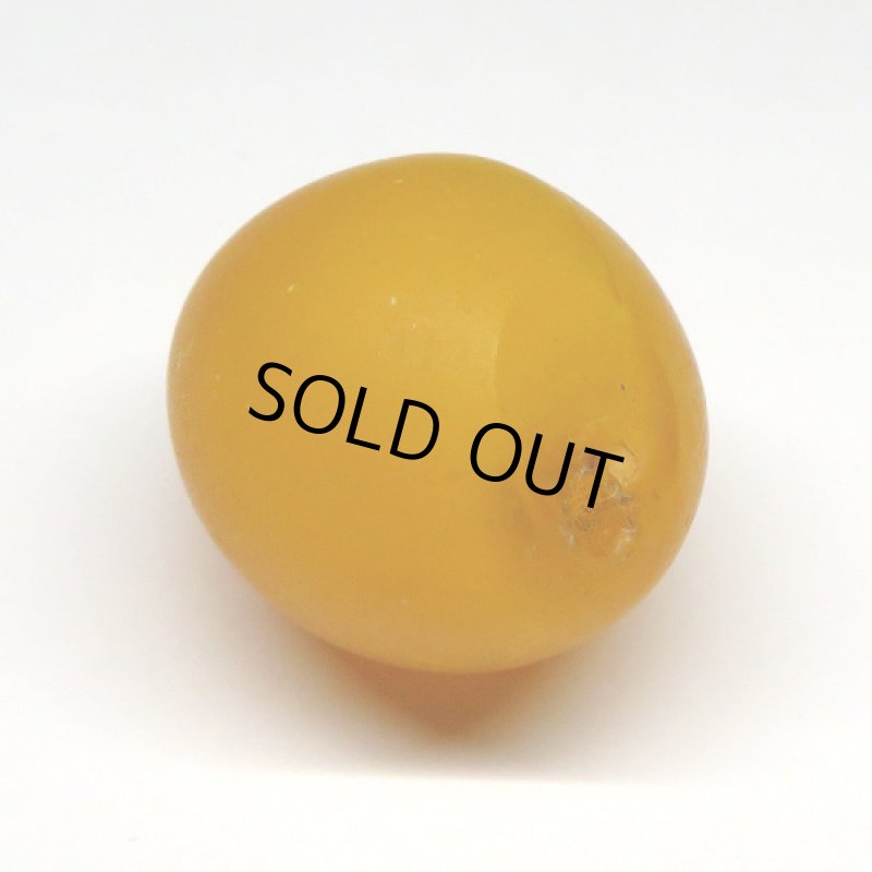 エチオピアンチェリー 山吹色大