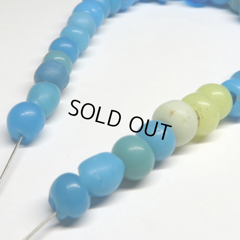 ナガ族ブルー　短連