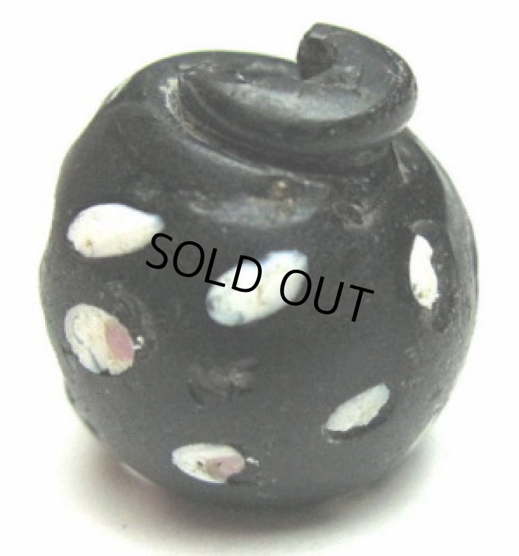 大型ブラックスカンク