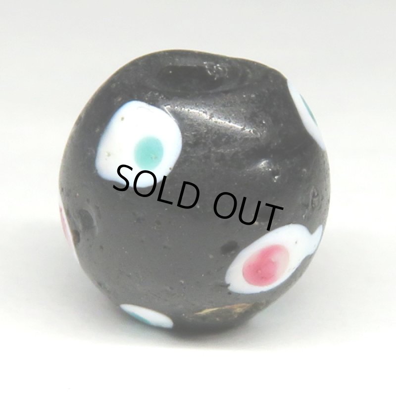 緑+赤ドットのブラックスカンク