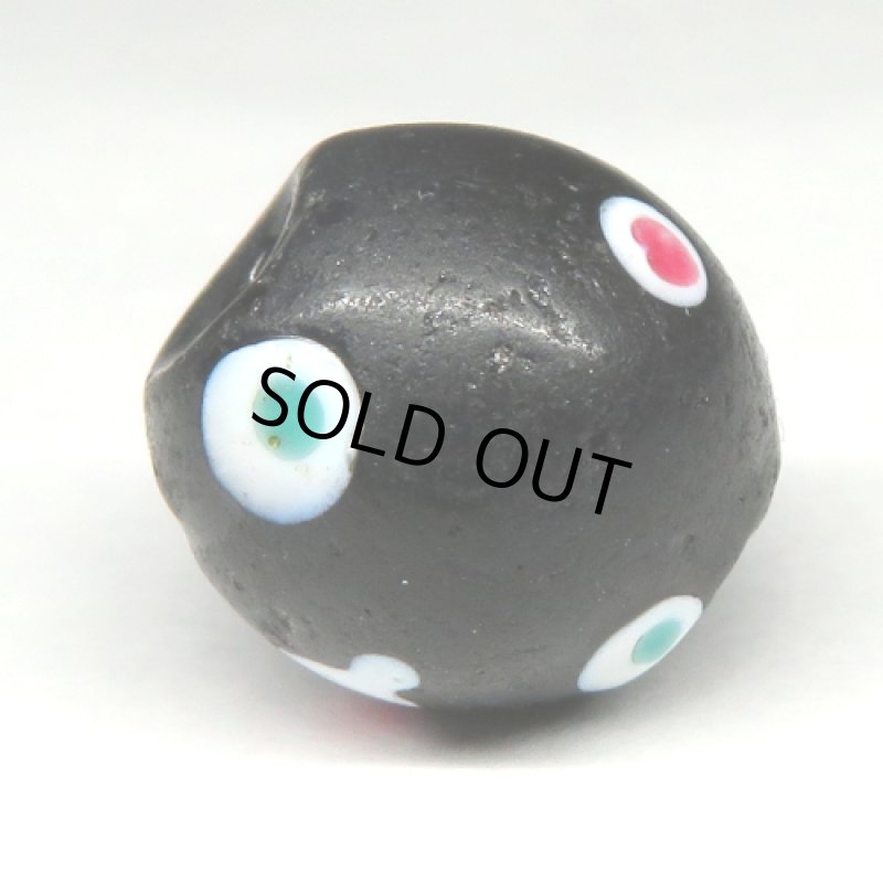 緑+赤ドットのブラックスカンク