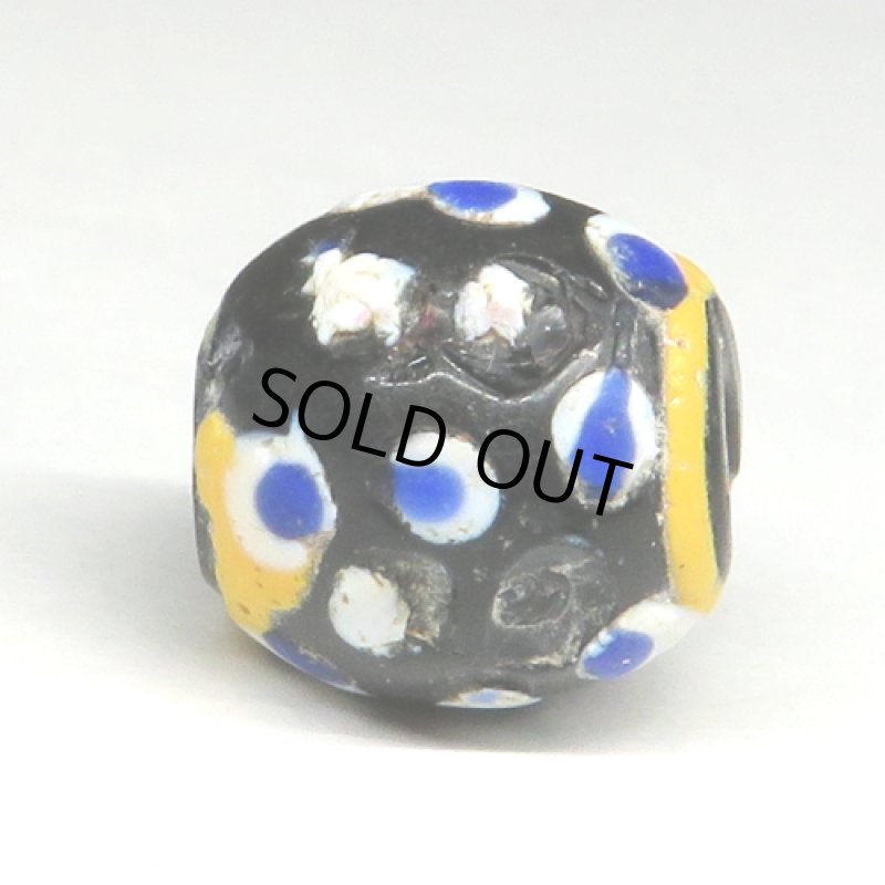 紺ドットのブラックファンシースカンク