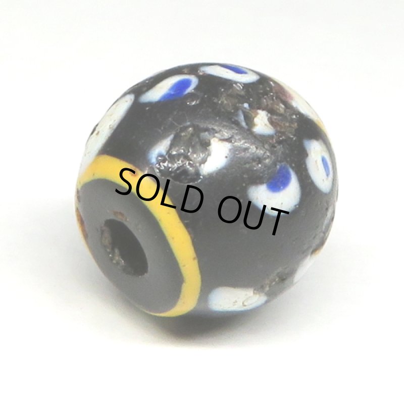 紺ドットのブラックファンシースカンク