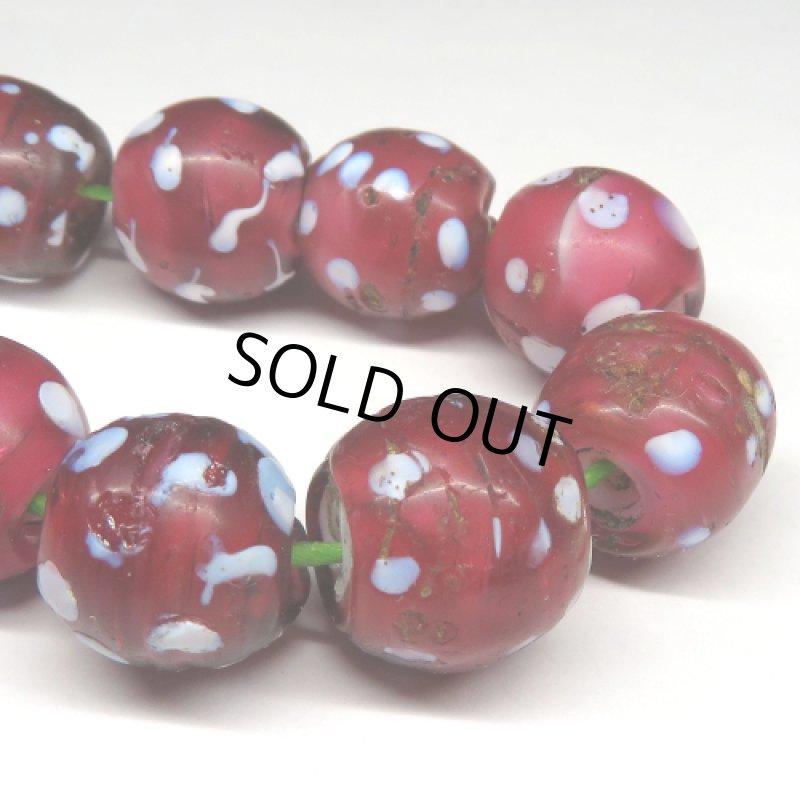 金赤レッドスカンク 10個セット