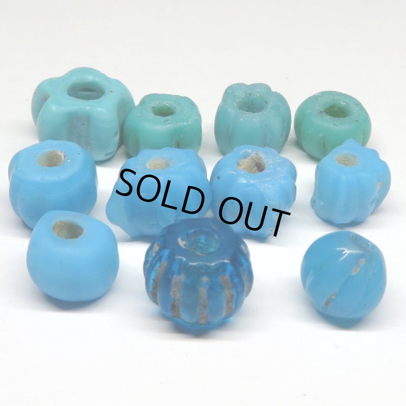 ナガ族蜜柑玉ブルーミックス 11個セット