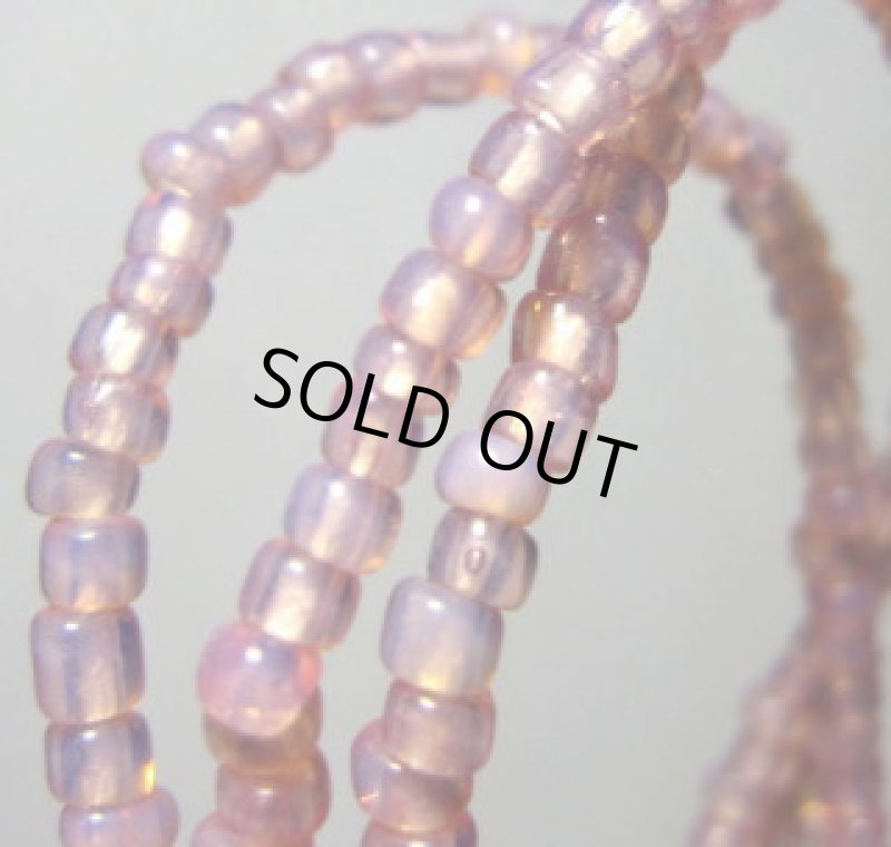 クリアピンク　シード連