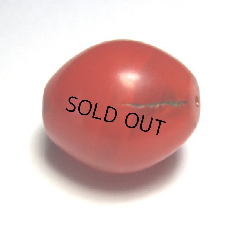 エチオピアンチェリー　レッド大