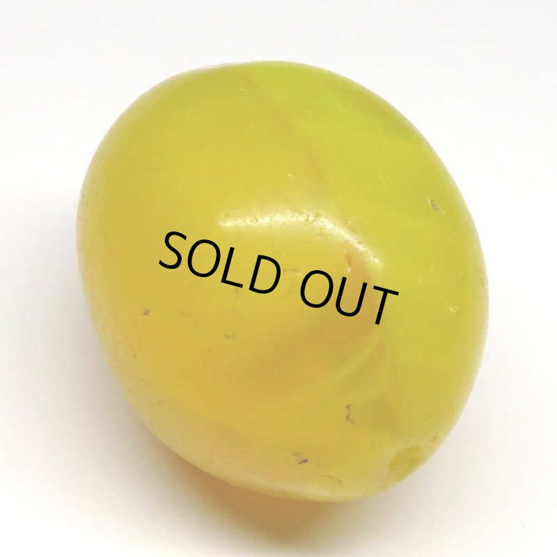 エチオピアンチェリー　黄色特大