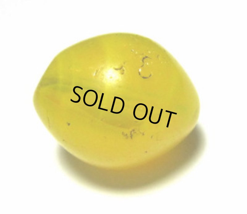 エチオピアンチェリー 黄色大